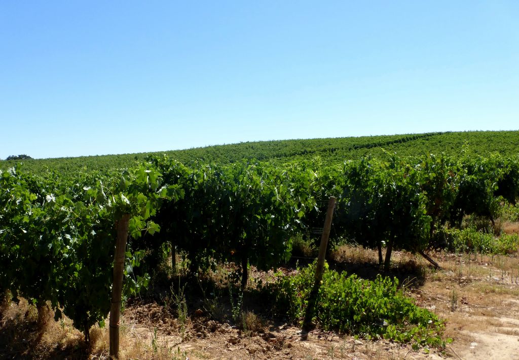 Farm
